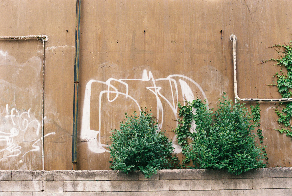 Archillect ID 386434