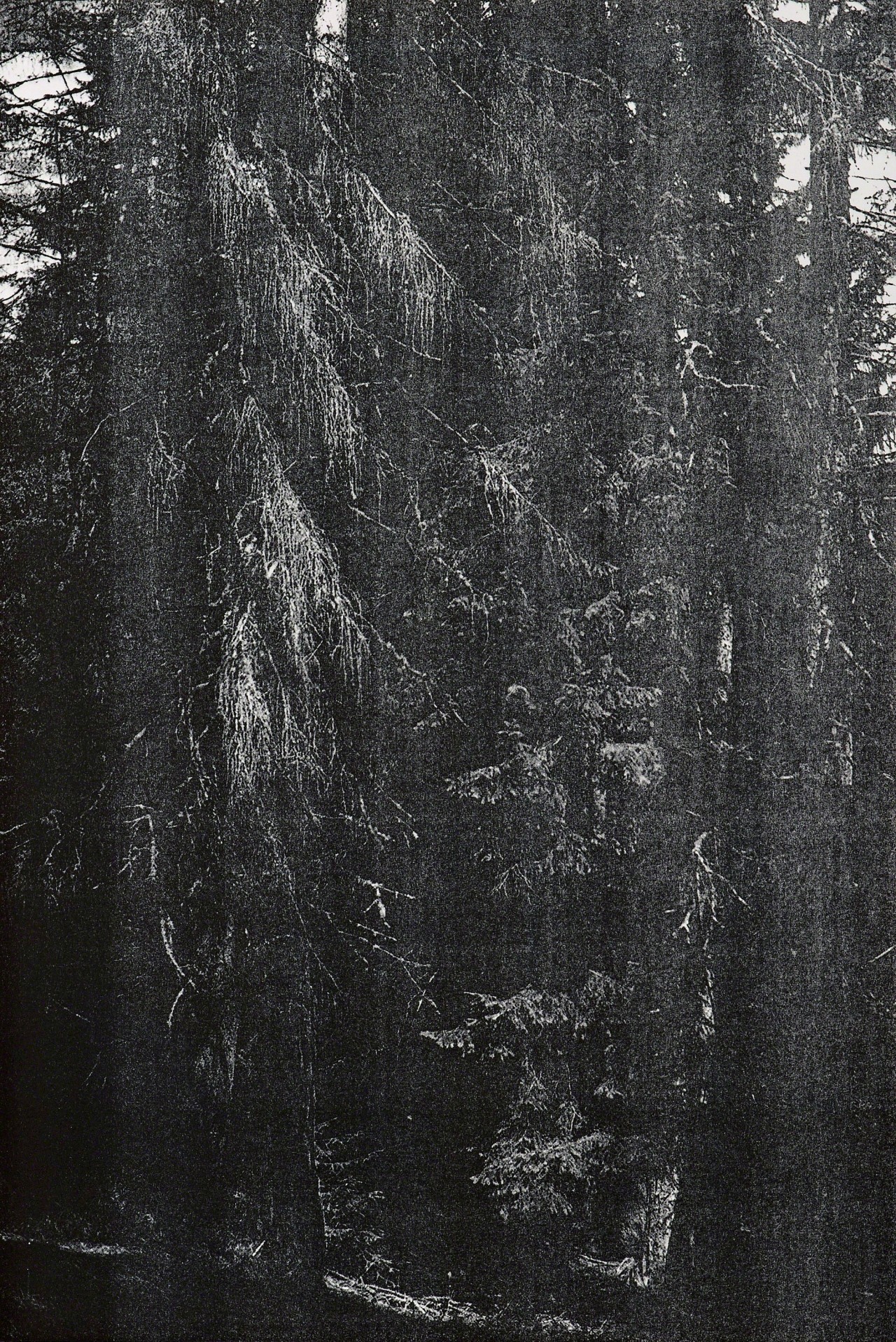 Archillect ID 386465