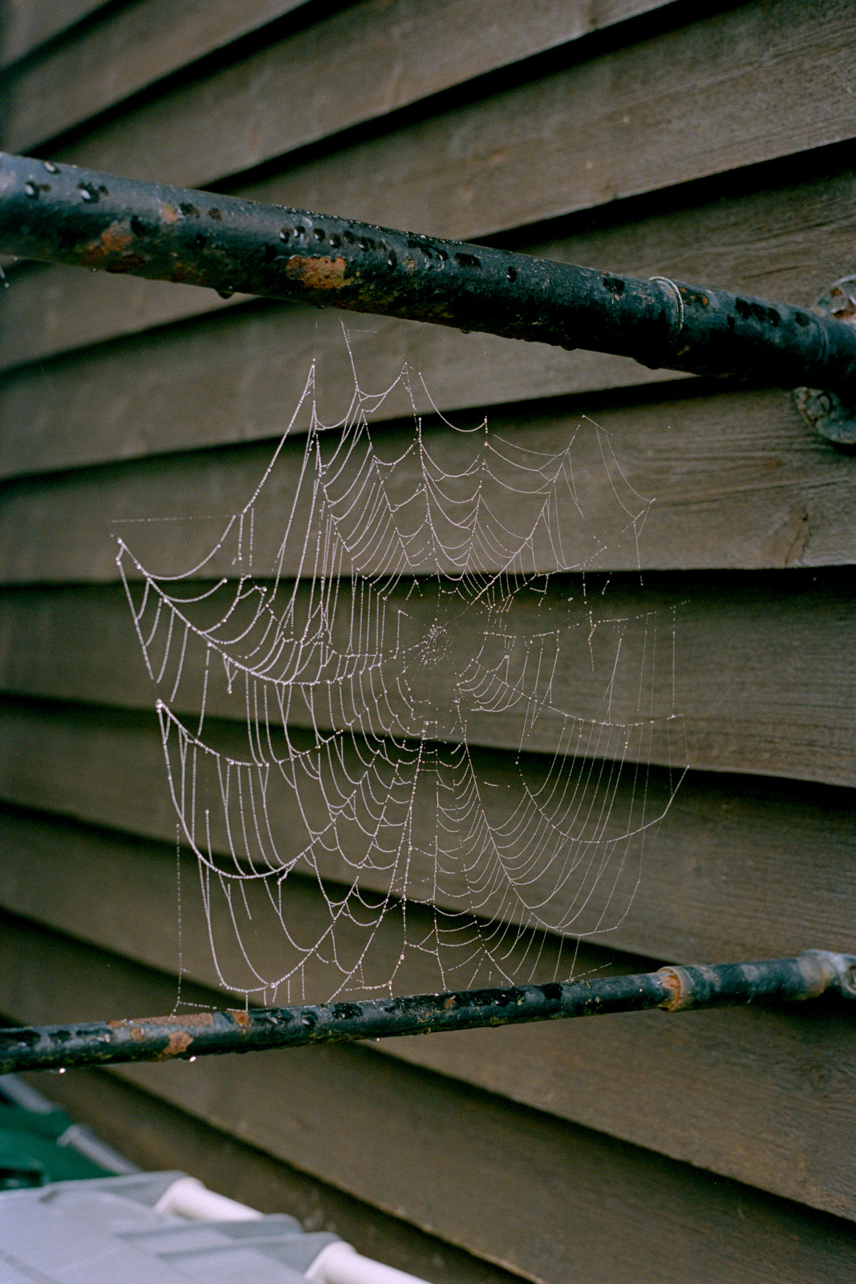 Archillect ID 386489