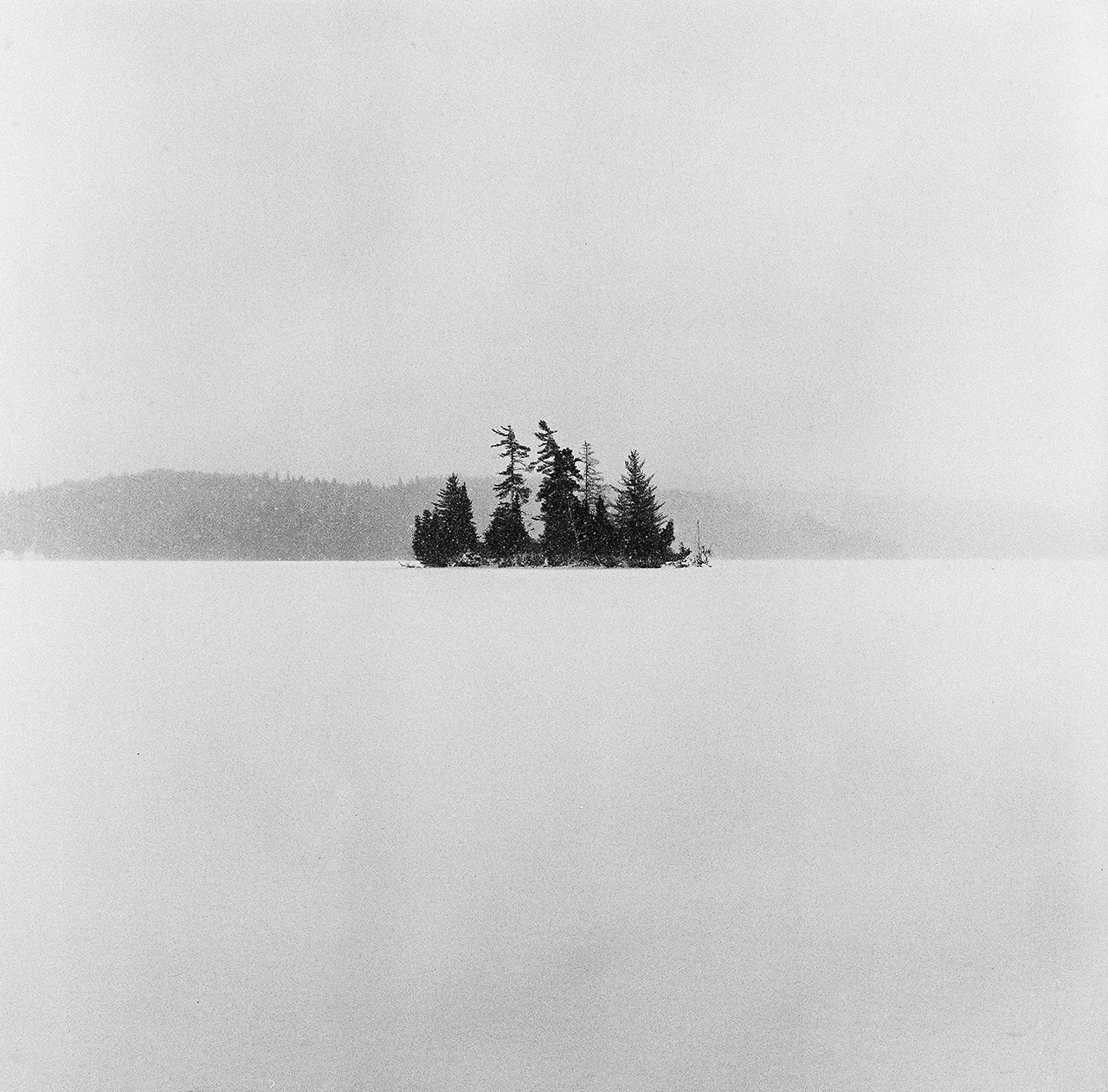 Archillect ID 386497