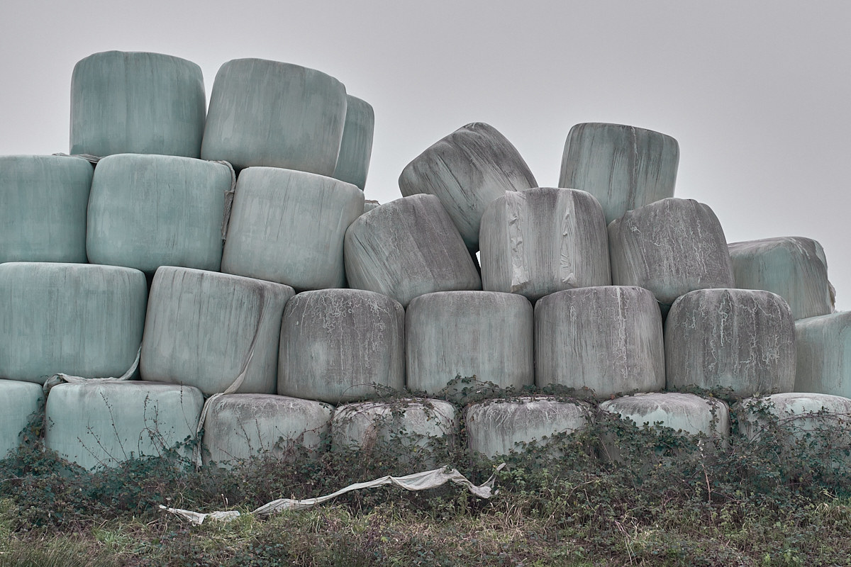 Archillect ID 386555