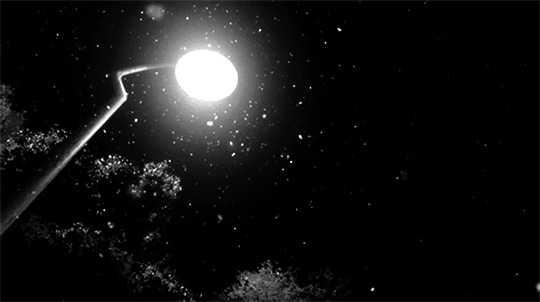 Archillect ID 386585