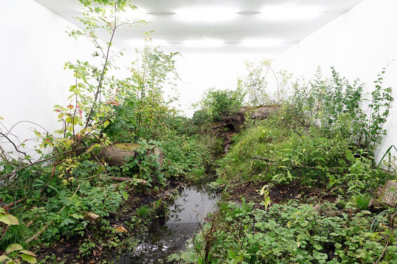 Archillect ID 386628