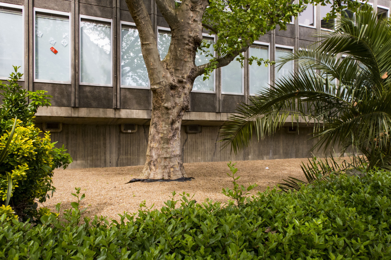 Archillect ID 386647