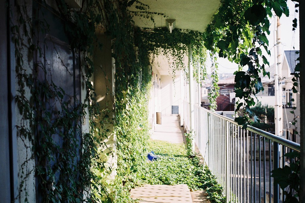 Archillect ID 386653