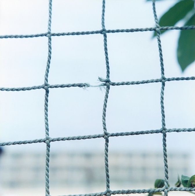 Archillect ID 386659