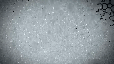 Archillect ID 386677