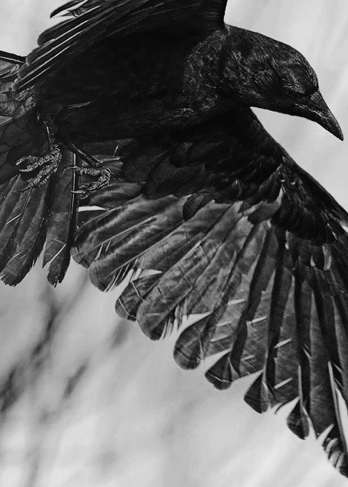 Archillect ID 386680