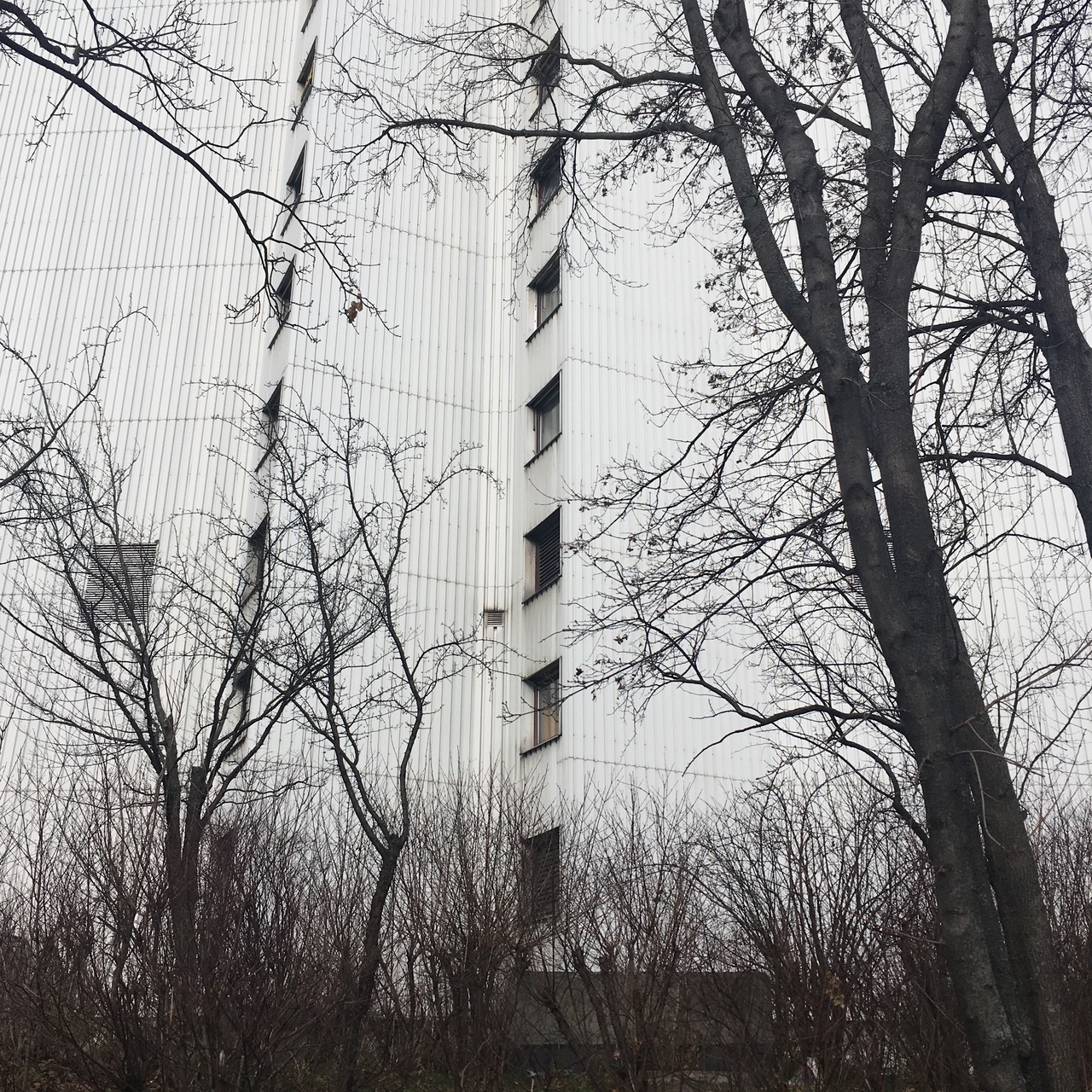 Archillect ID 386697