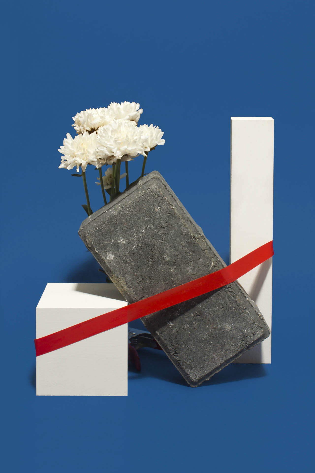 Archillect ID 386752