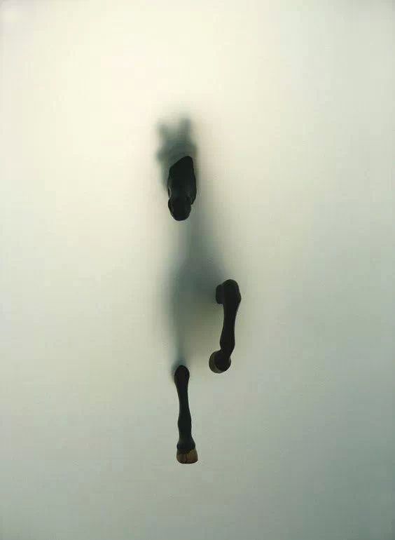 Archillect ID 386782