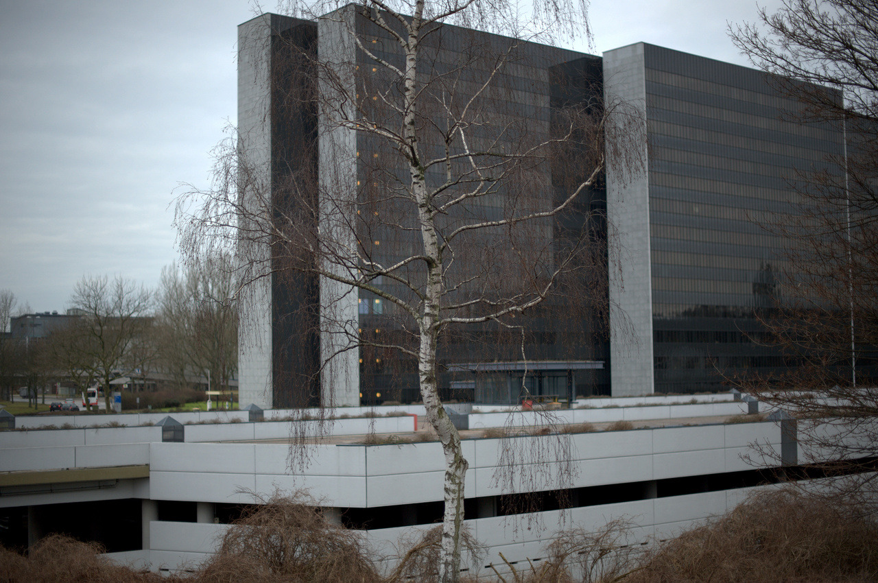 Archillect ID 386917