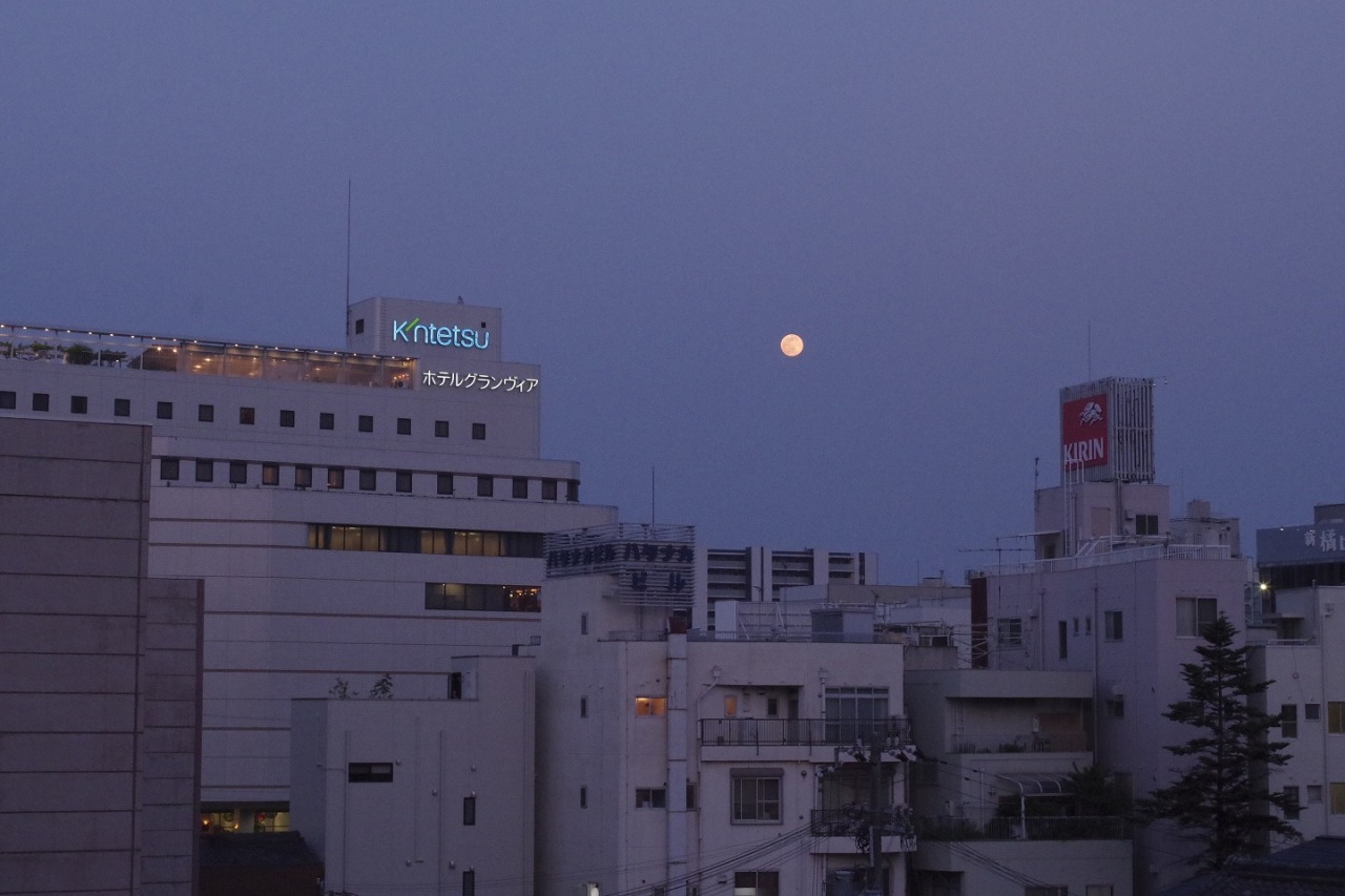 Archillect ID 386919