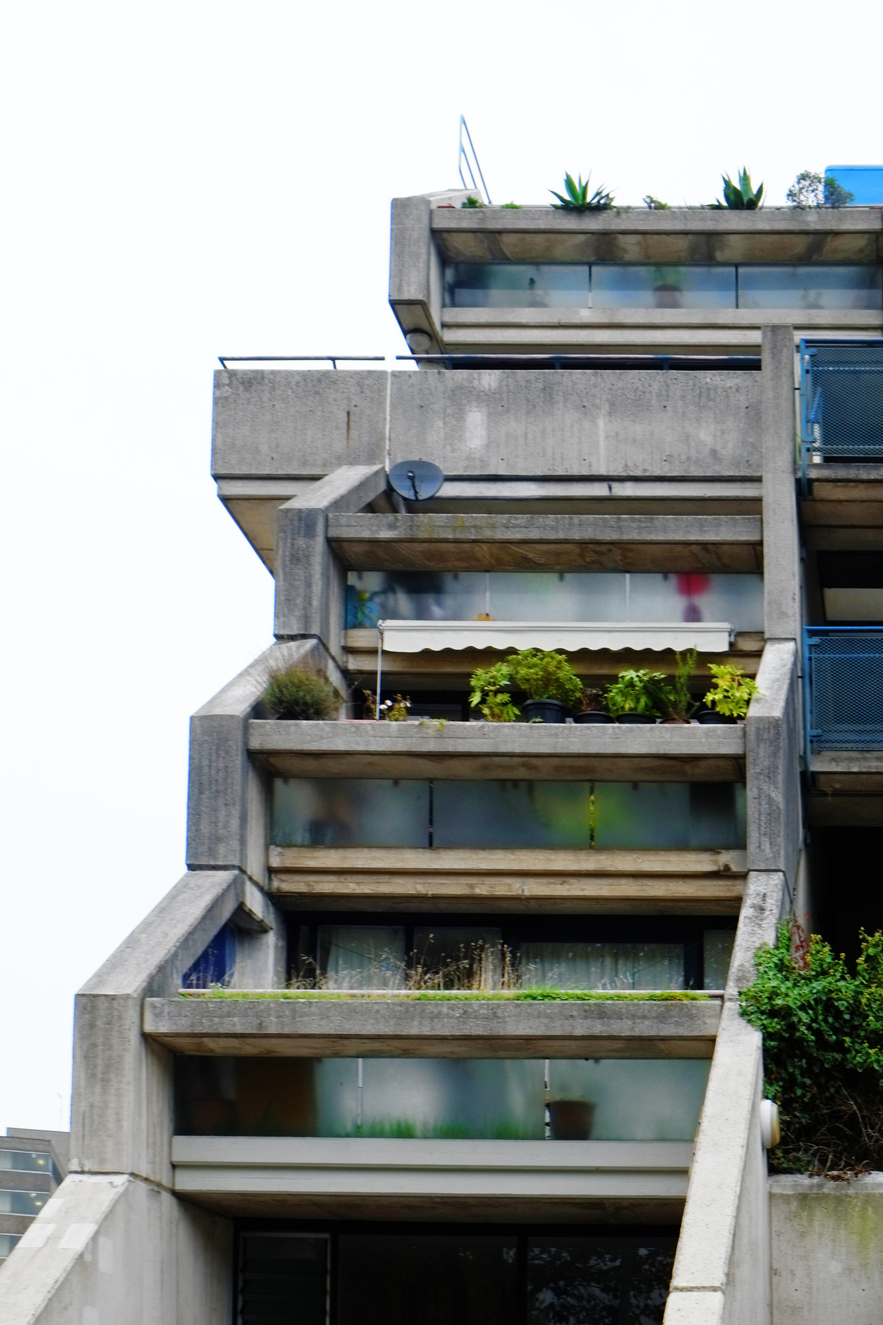 Archillect ID 386935