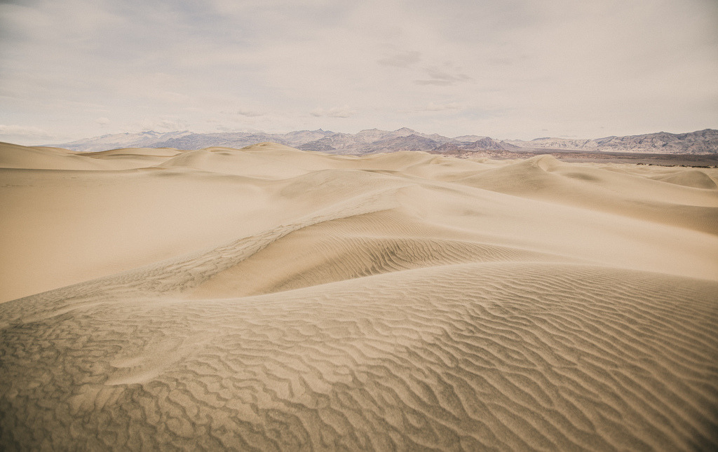 Archillect ID 386942