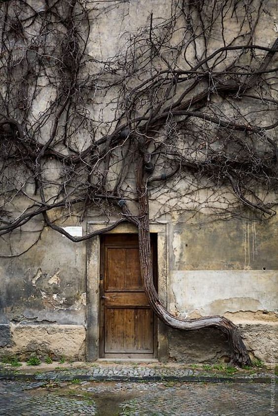 Archillect ID 386943