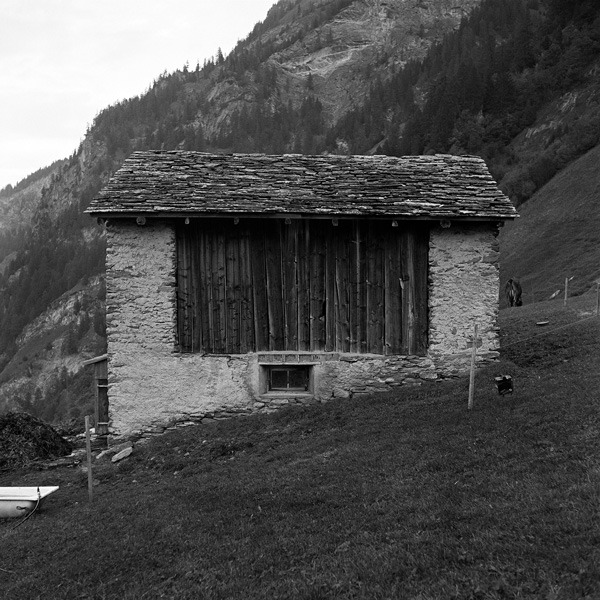 Archillect ID 386999