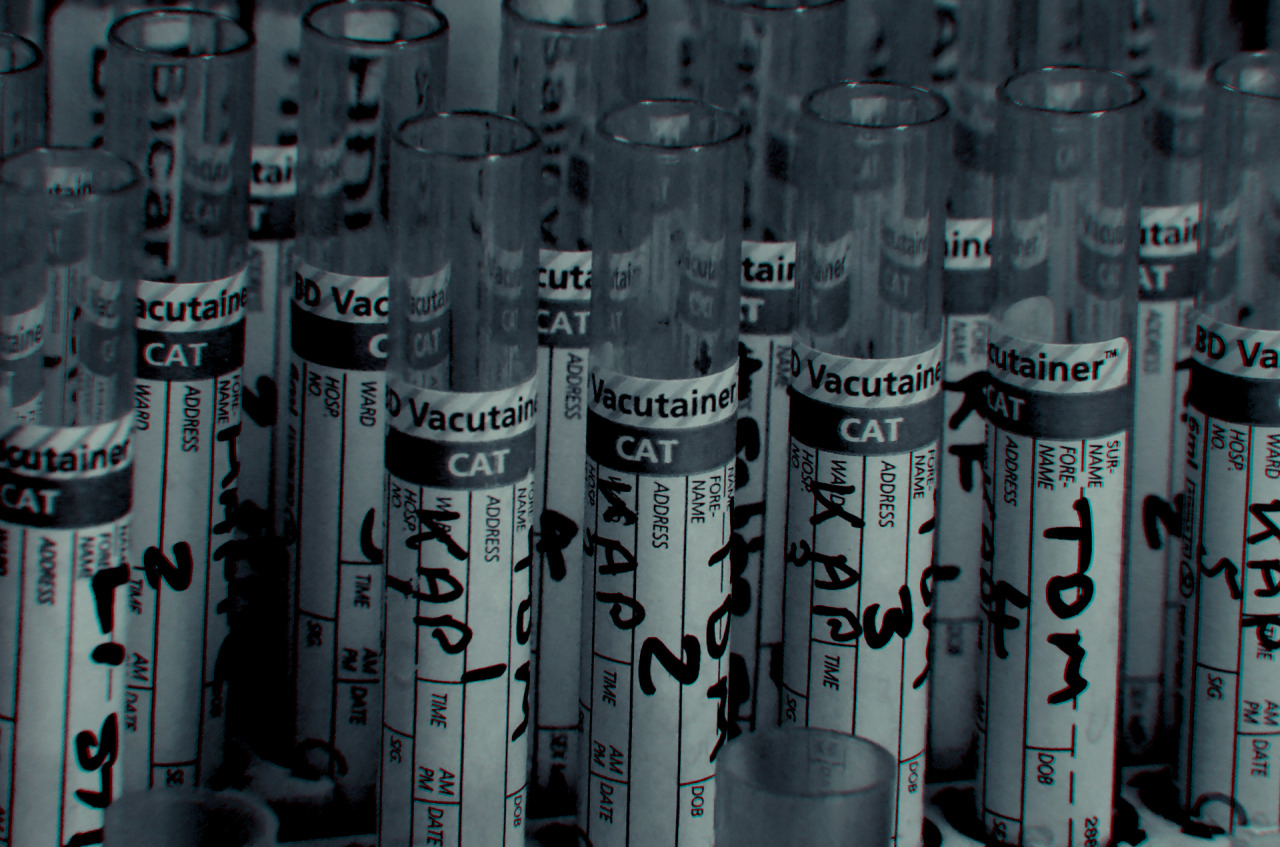 Archillect ID 387009