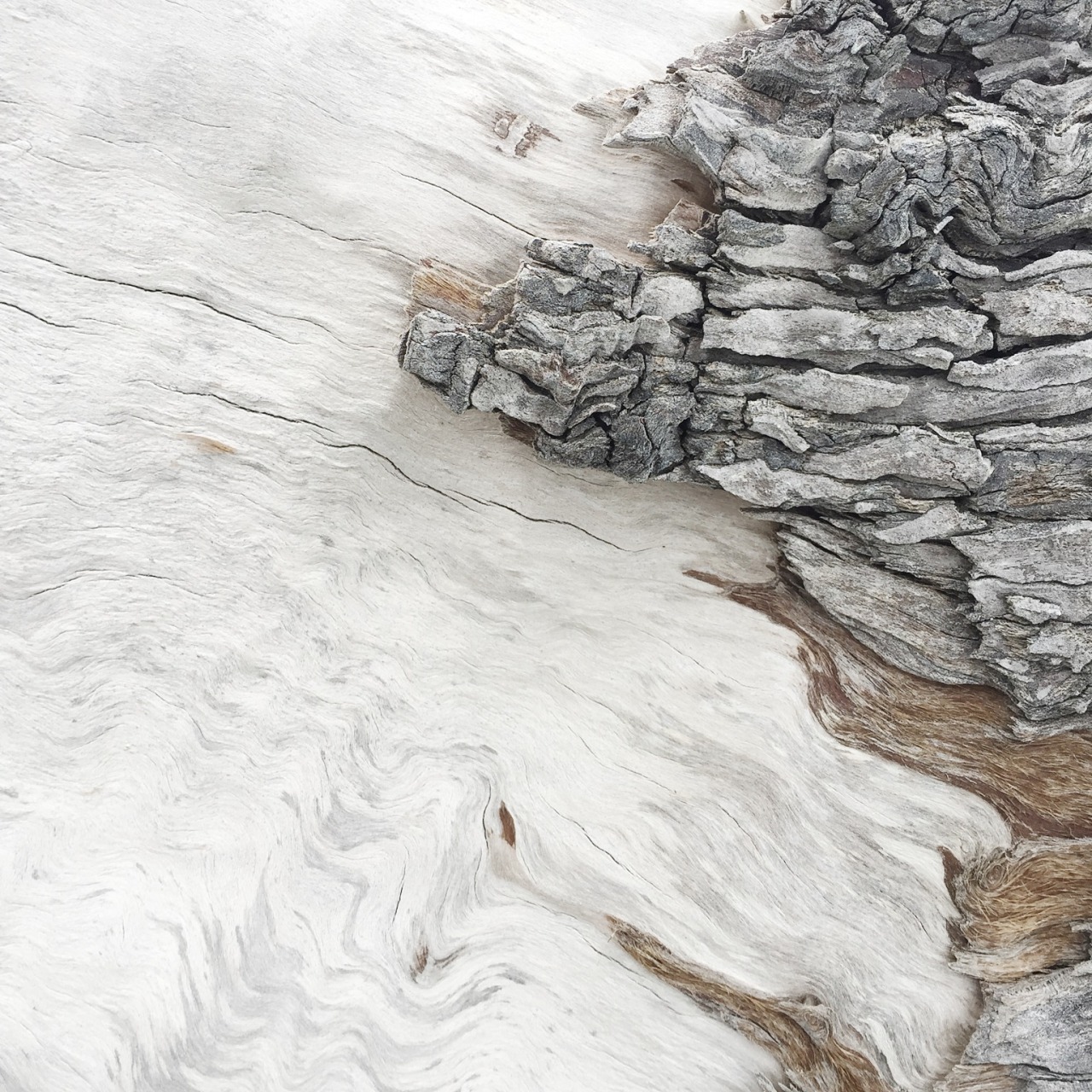 Archillect ID 387023