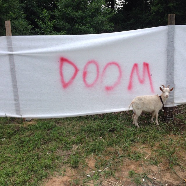 Archillect ID 387044