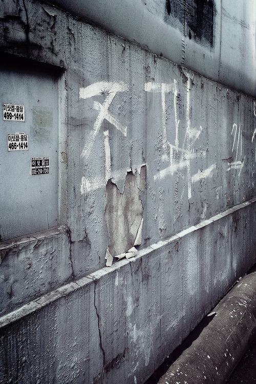 Archillect ID 387056