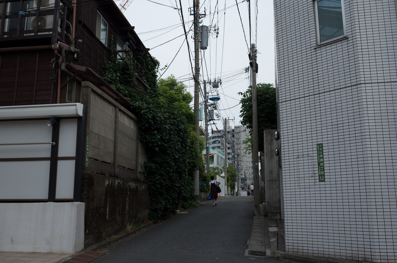 Archillect ID 387080