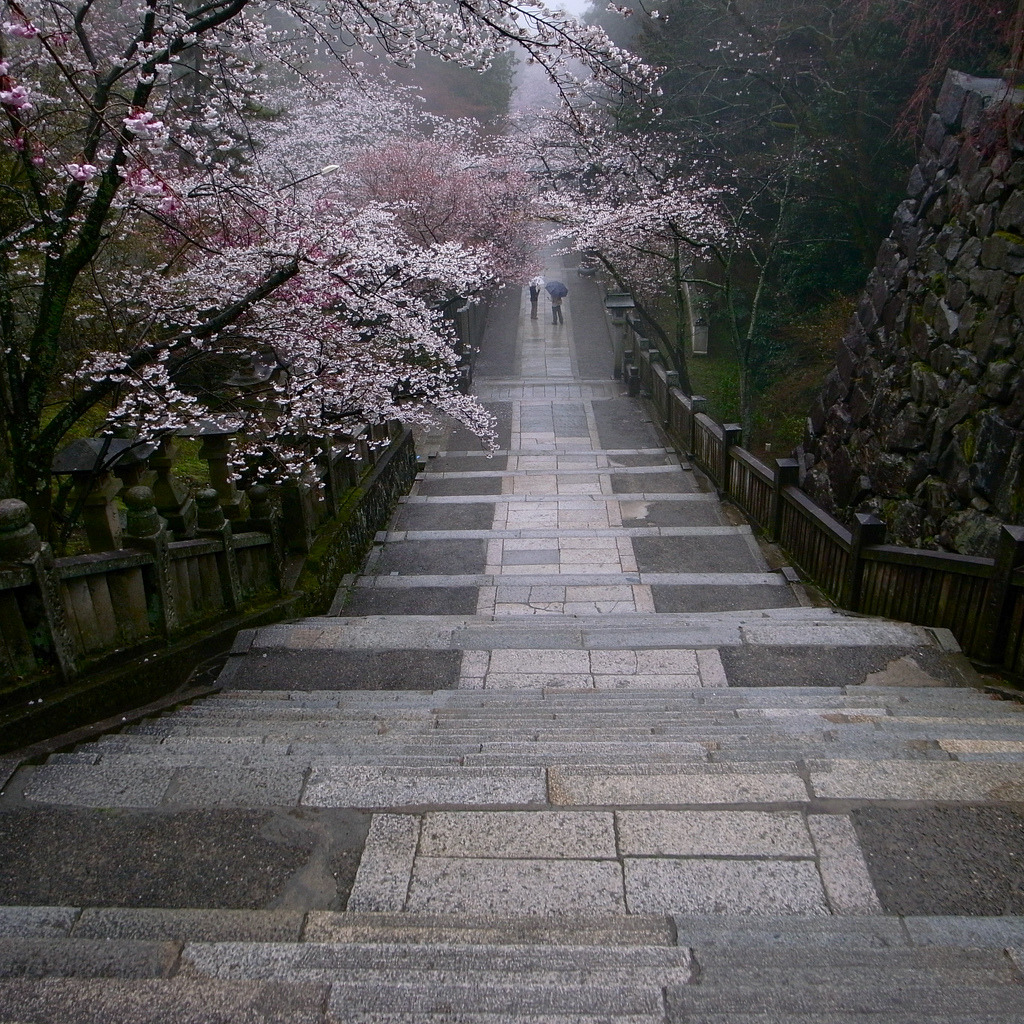 Archillect ID 387128