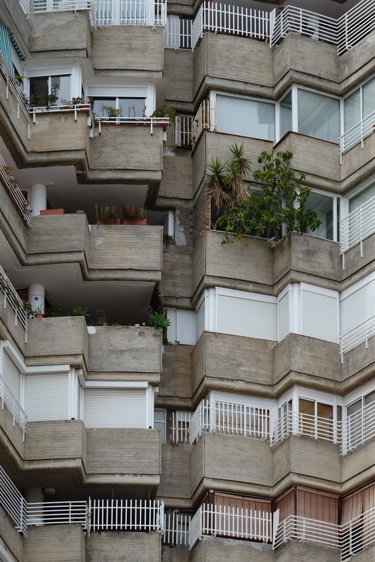 Archillect ID 387155