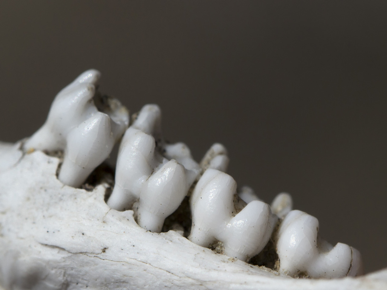 Archillect ID 387167