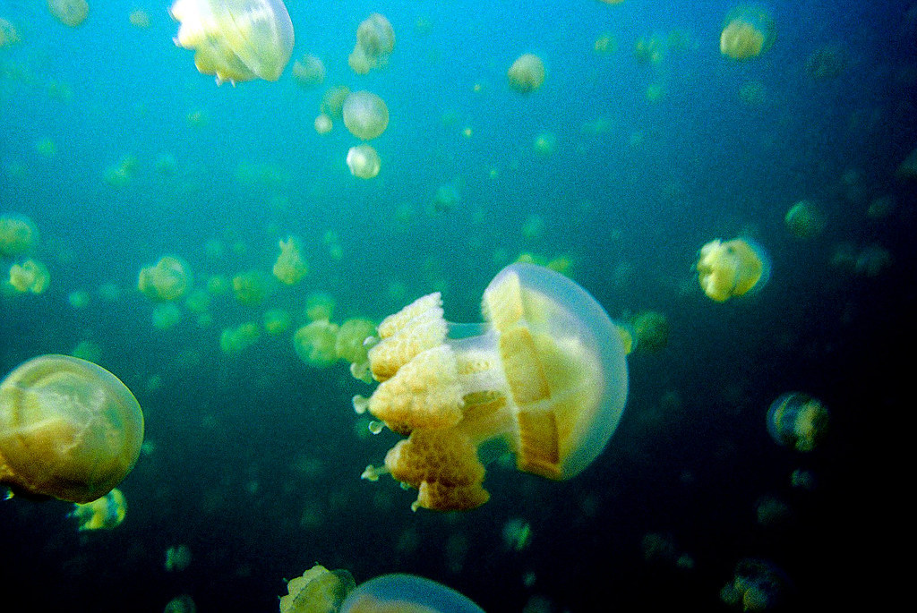 Archillect ID 387172