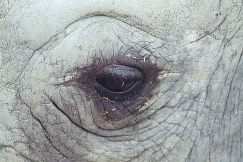 Archillect ID 387195