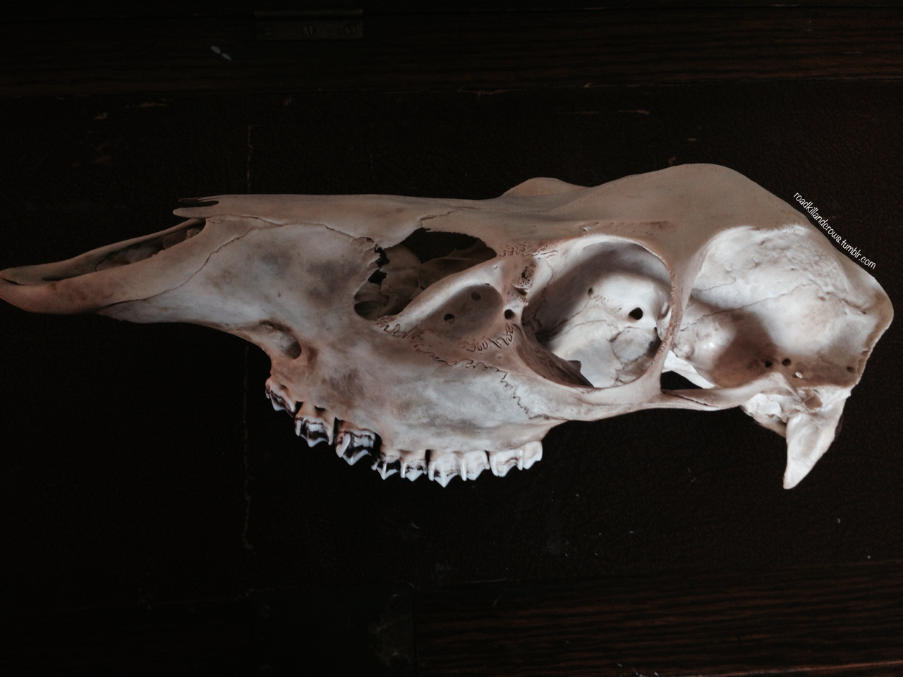 Archillect ID 387234