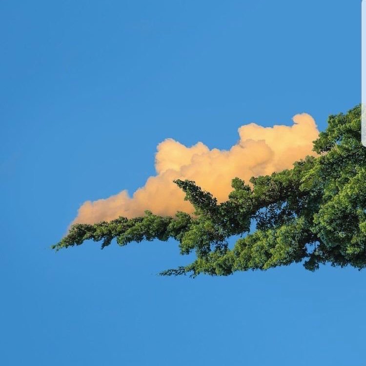 Archillect ID 387241