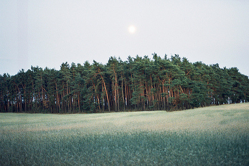 Archillect ID 387251