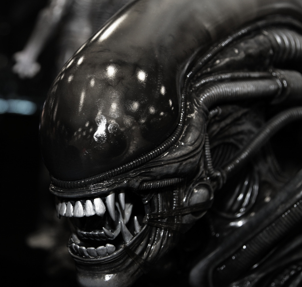 Archillect ID 387268