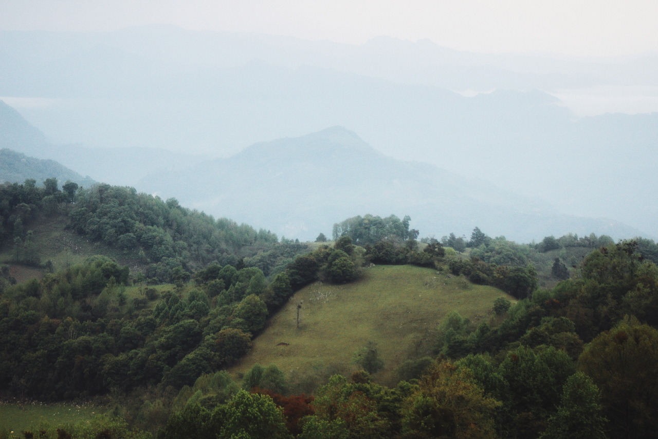 Archillect ID 387280