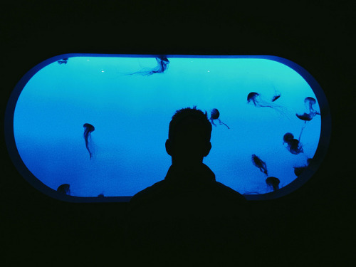 Archillect ID 387322