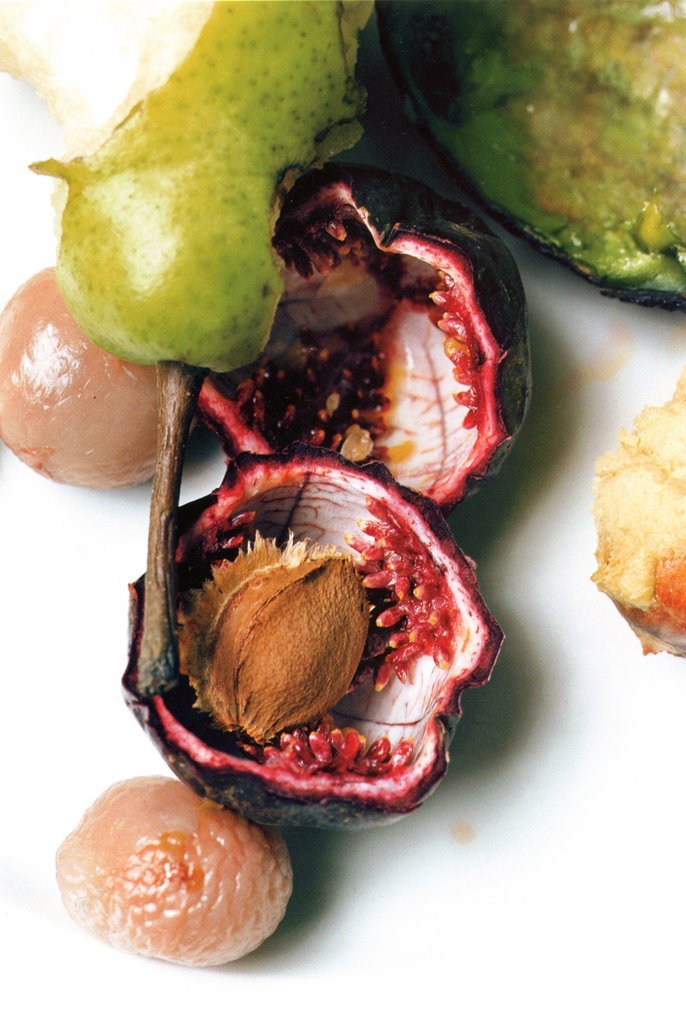 Archillect ID 387336