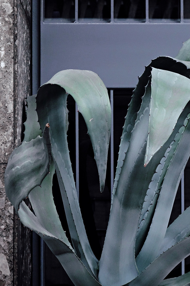 Archillect ID 387349