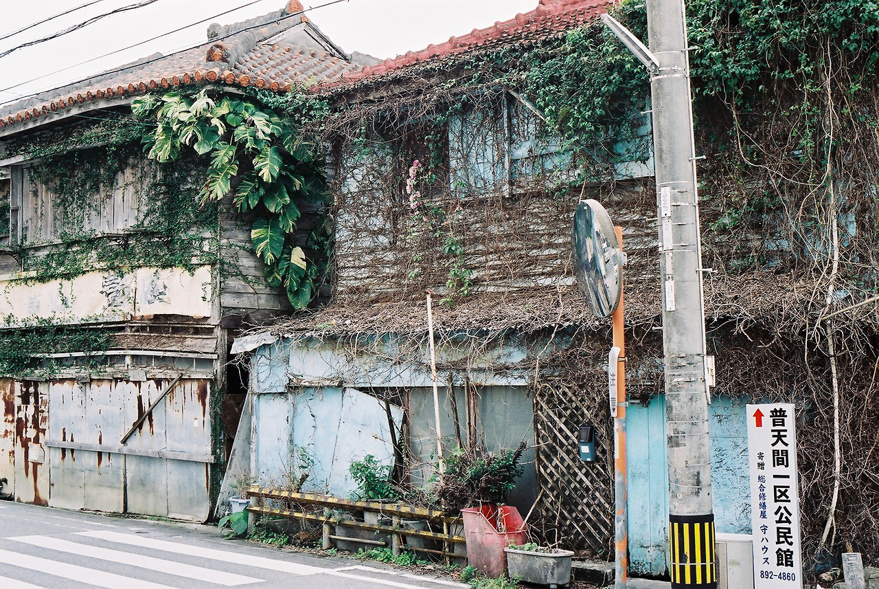 Archillect ID 387353