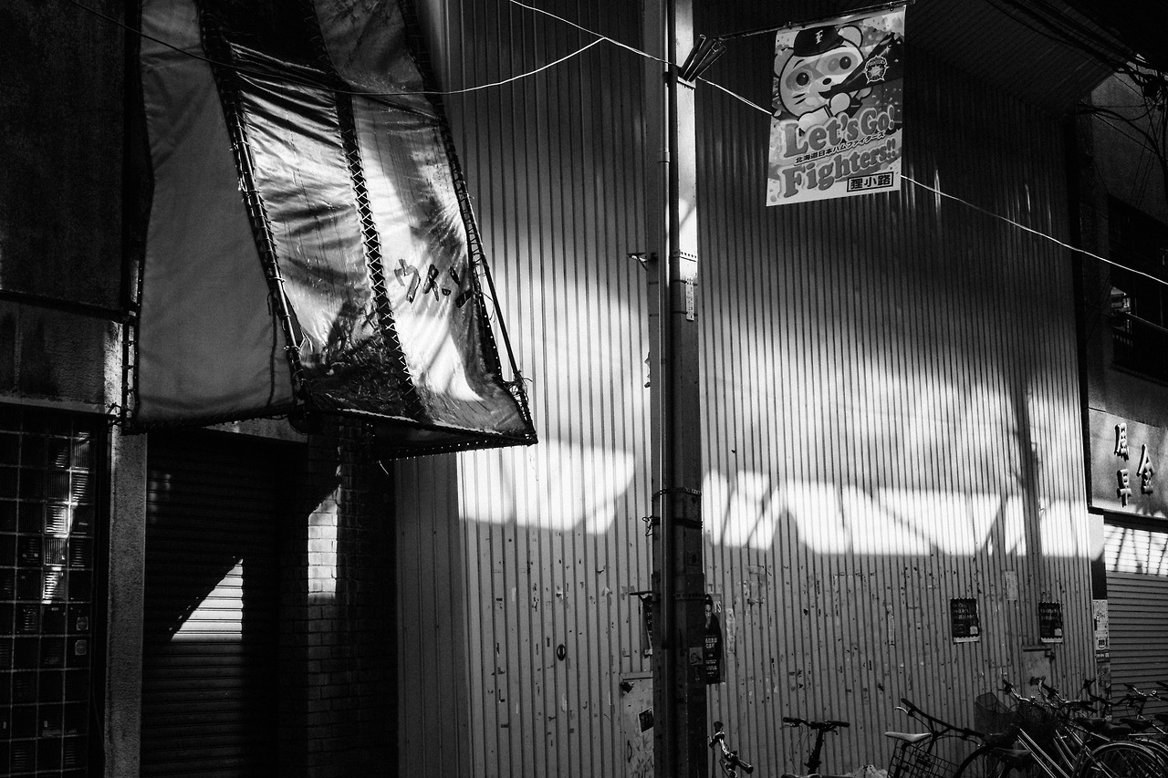 Archillect ID 387359