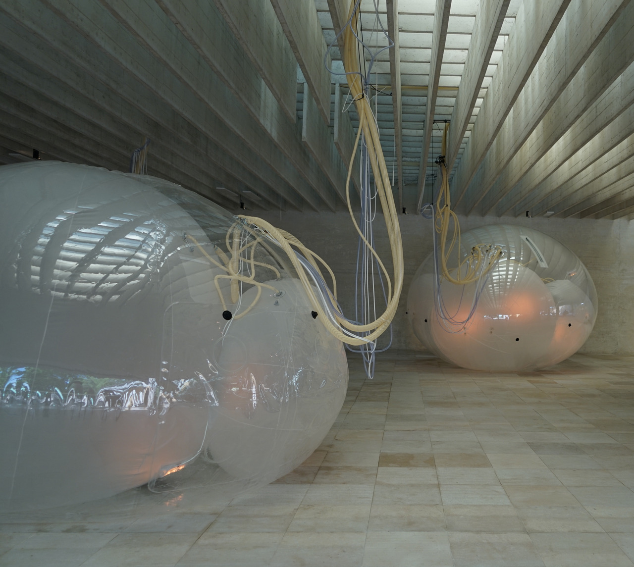 Archillect ID 387383