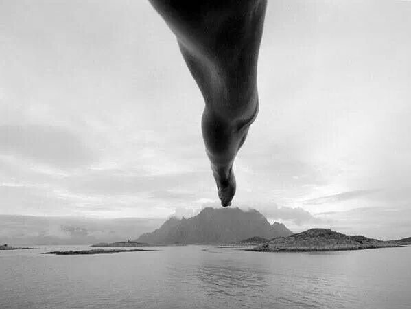 Archillect ID 387388