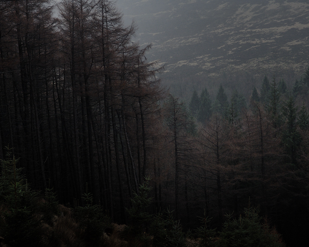 Archillect ID 387405