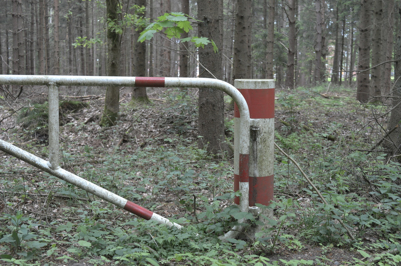 Archillect ID 387408