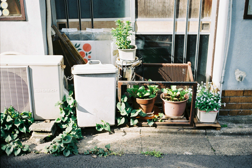 Archillect ID 387419