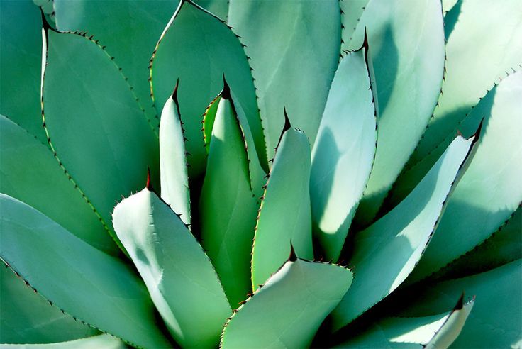 Archillect ID 387431