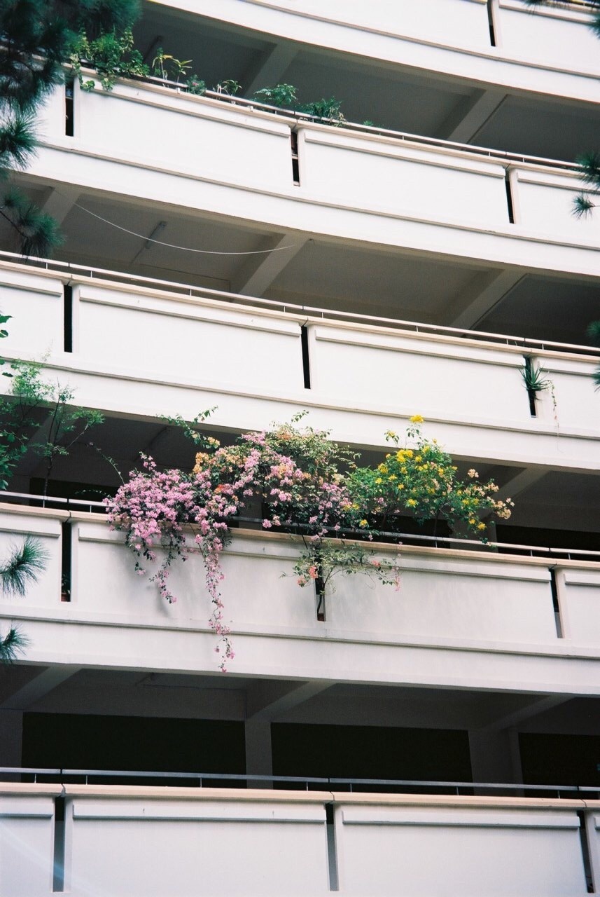 Archillect ID 387440