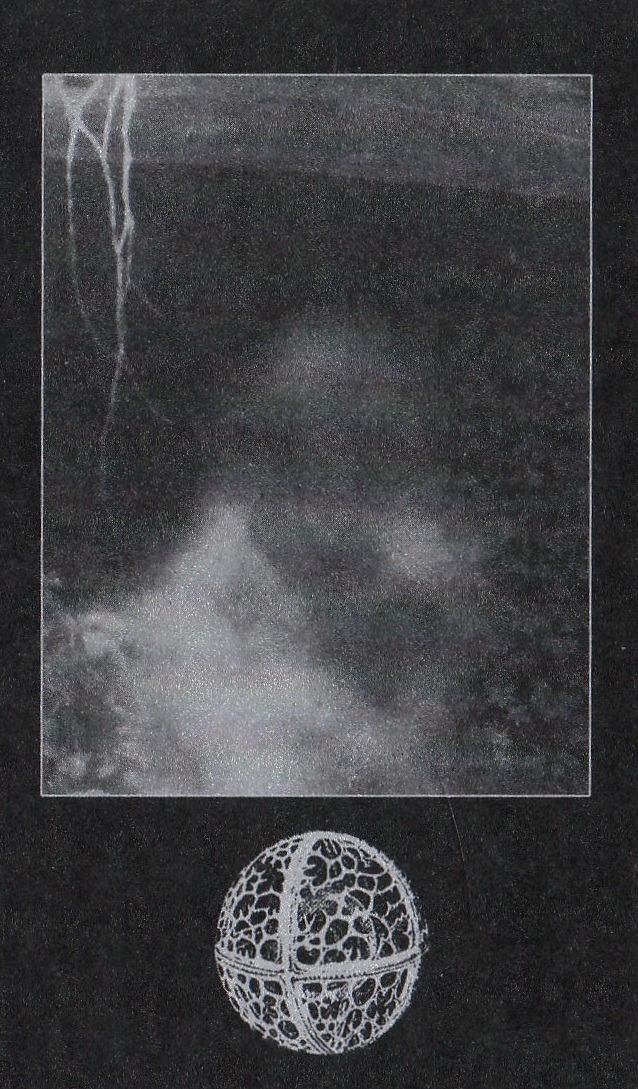 Archillect ID 387473