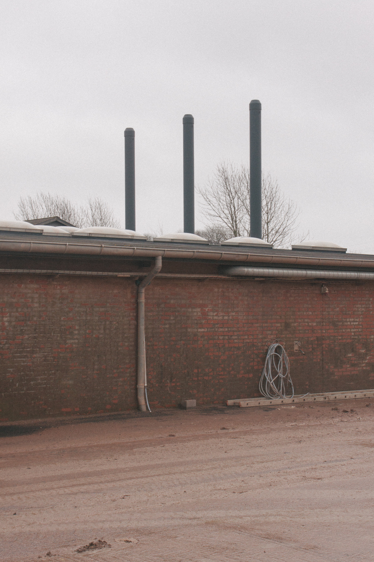 Archillect ID 387476